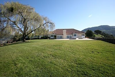 Rear with Weeping willow