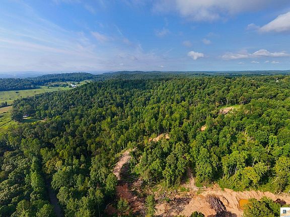 3rd image of 10 Frenchman Knob Rd