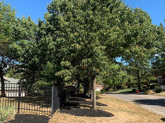 4th image of 7896 Bennington Dr