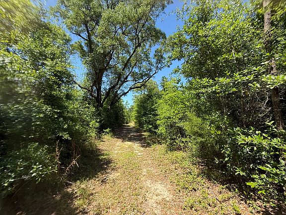 5th image of 0 Wolf Ridge Rd