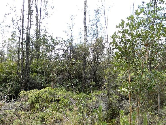 3rd image of Road 6 Ooaa Lot 4115
