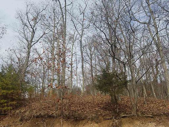 5th image of 810 Wilderness Dr