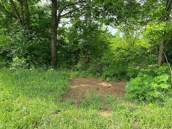 On of the heavily used mineral lick stations