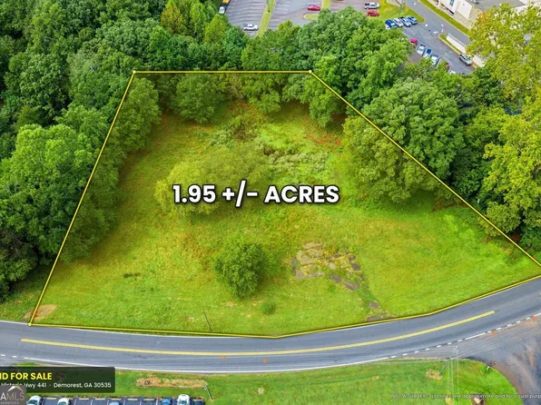 433 Historic Hwy #441, Demorest, GA 30535