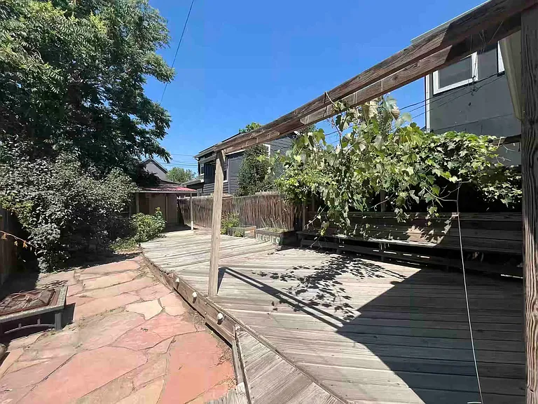 Mature grapevines, need maintenance by tenants or landlord