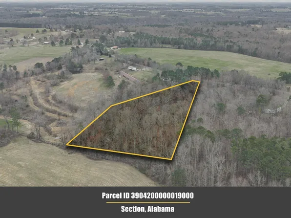 5/ACRE S County Road 49, Section, AL 35771