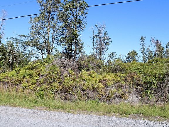 4th image of 2nd Avenue Aloe Lot 2854