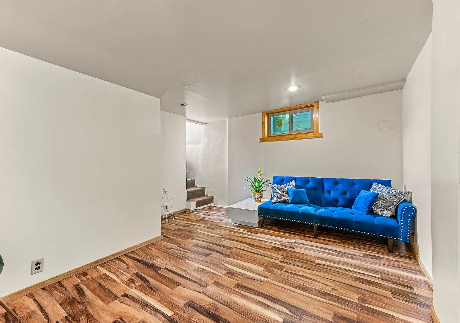 Charming 1-Bedroom Basement Apartment in the Heart of Tacoma Furnished Option Available! — Photo 3
