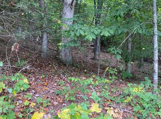 Dewey Dugger Rd, Johnson City, TN 37601