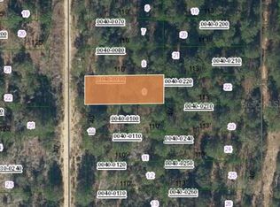 0 SW 57th Ave #9-10, Interlachen, FL 32148