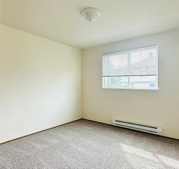 The Shannon Apartments — Photo 13