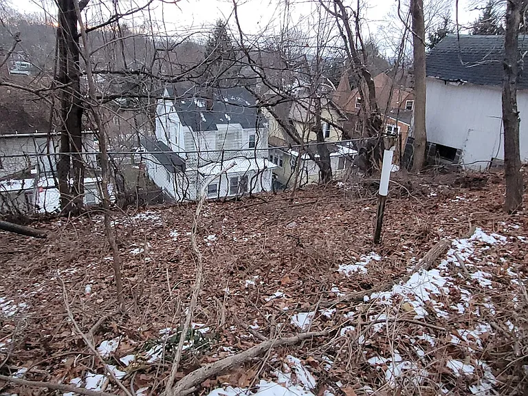 Fenced in Back Yard
