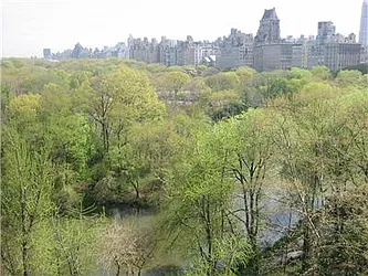 Rented by essential NEW YORK Real Estate