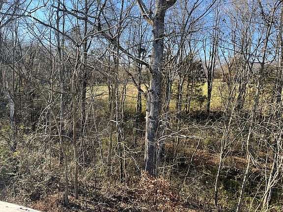 View from deck, back of property.