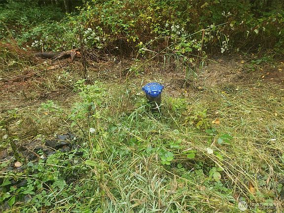 2nd image of 10943 Lundeen Road SW