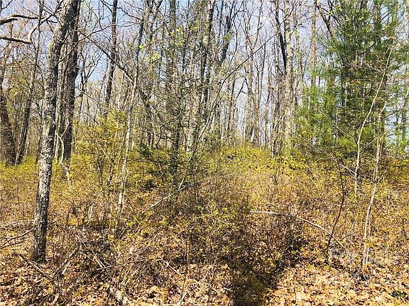 5th image of LOT-83R Firesong Ln