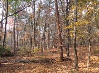 1185 Ben Jones Rd, Clarkesville, GA 30523