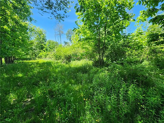 3rd image of 0 Irish Ridge Rd
