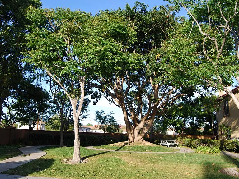 Common Area