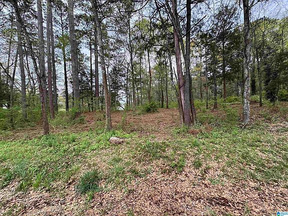 2nd image of 2318 Annesley Dr #9