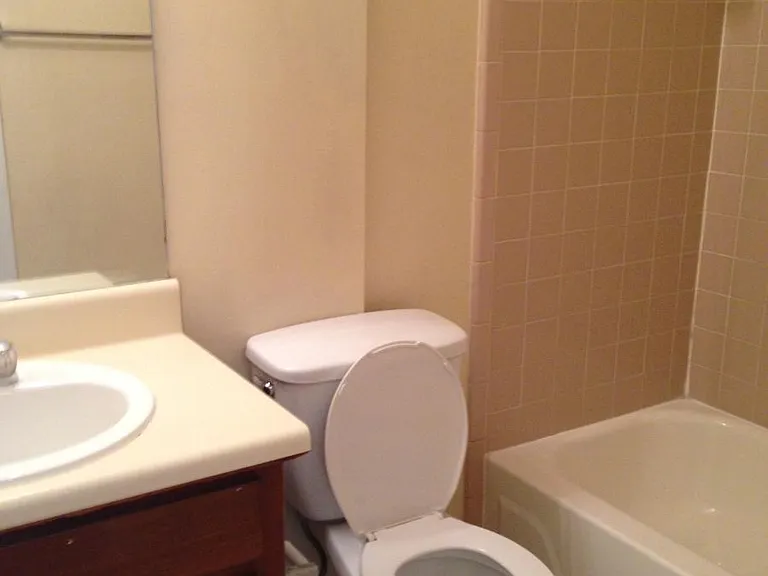 Hall bath