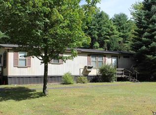 141 Seven Hills Rd, Northville, NY 12134