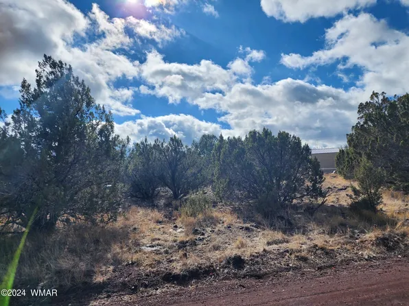 8557 Turkey Dr, Show Low, AZ 85901