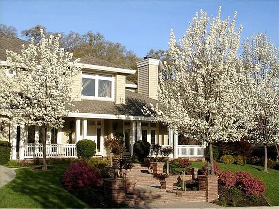 2nd image of 15 Brightwood Cir