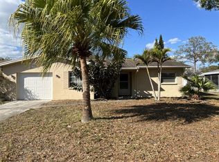 6917 300th Ave N, Clearwater, FL 33761