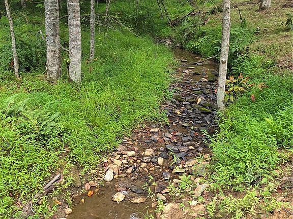 4th image of TBD River Country Road