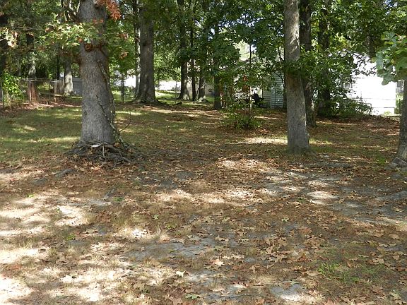 Rear Yard