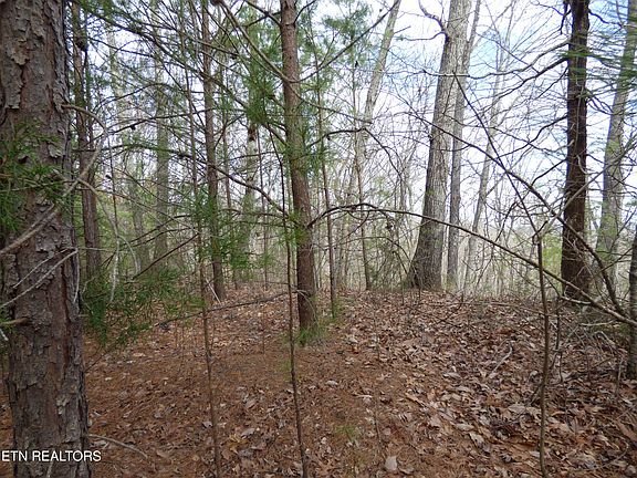 3rd image of Bayside Blvd Lot 35