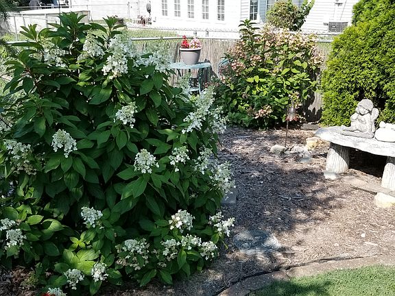 Many flower beds in yard.