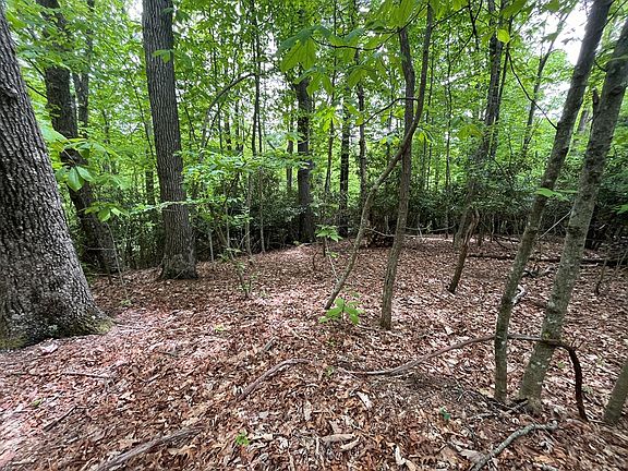 3rd image of 0 Old Hollow Trl