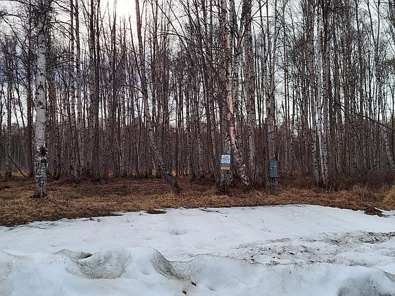 2nd image of 49643 S Hunter Dr