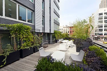 Rented by Bold New York