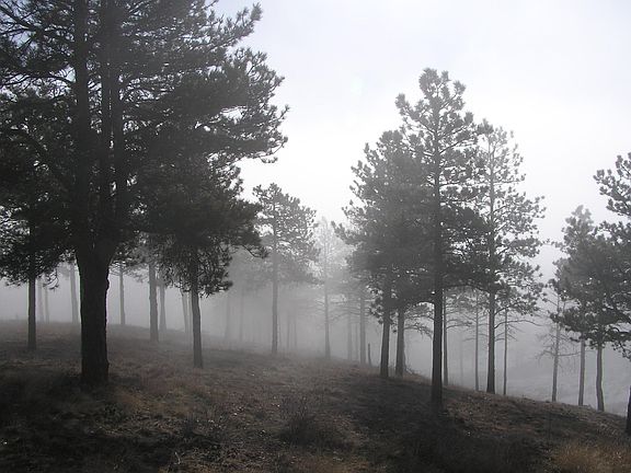 Mountain magic