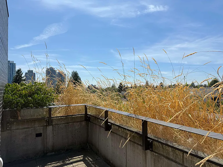 7777 Cambie St #405 — Photo 15