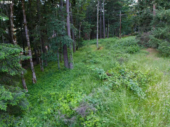 NW Jewett Ln, White Salmon, WA 98672