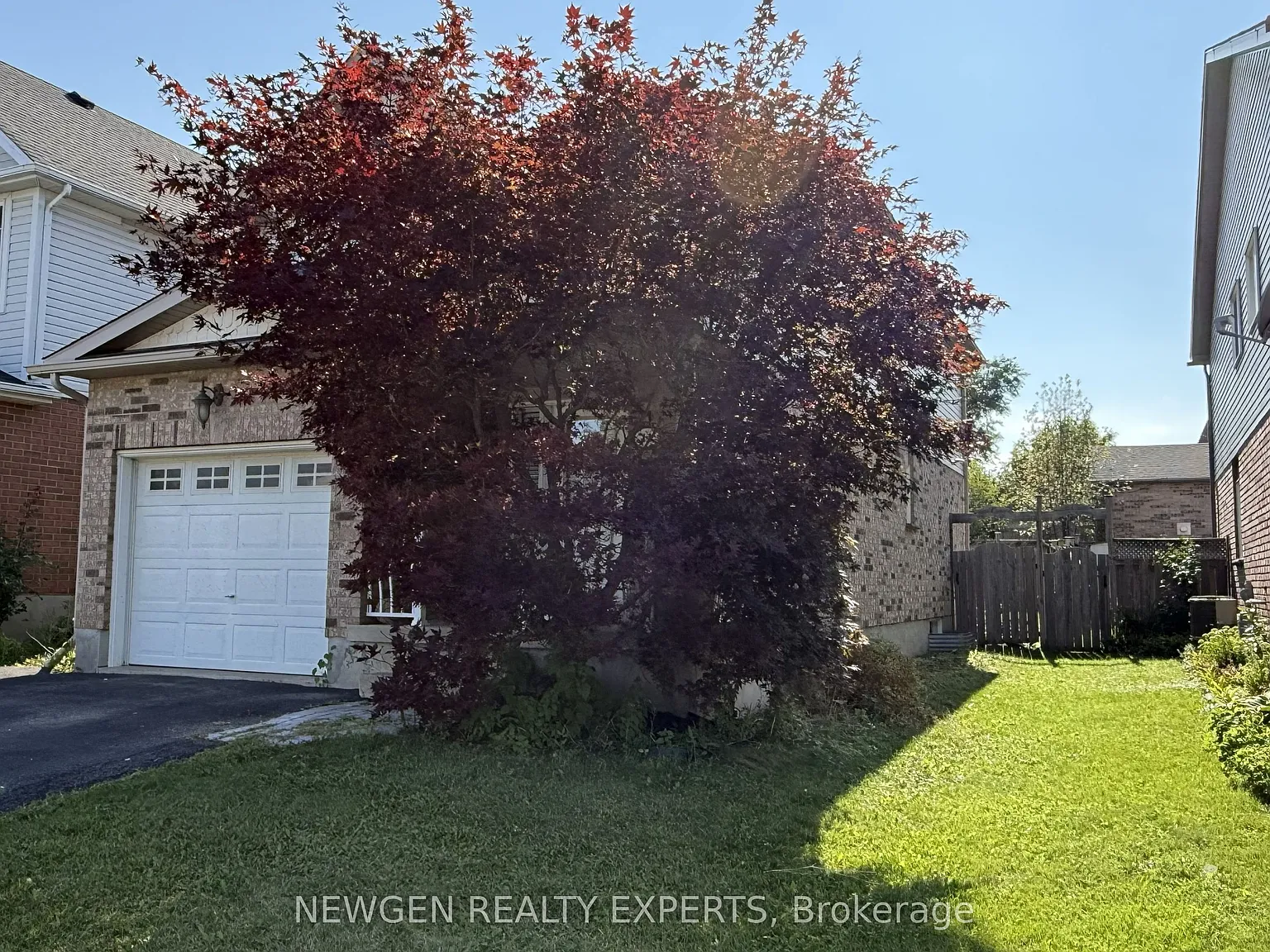 3 bed, $3,100 — Photo 3