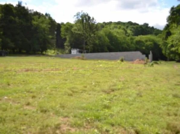 425 Baugh Hollow Ln, Gainesboro, TN 38562
