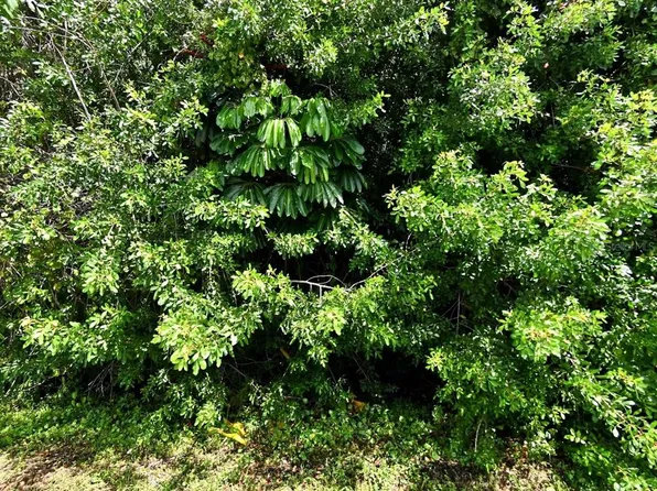 5808 Bamboo Dr #6, Fort Pierce, FL 34982