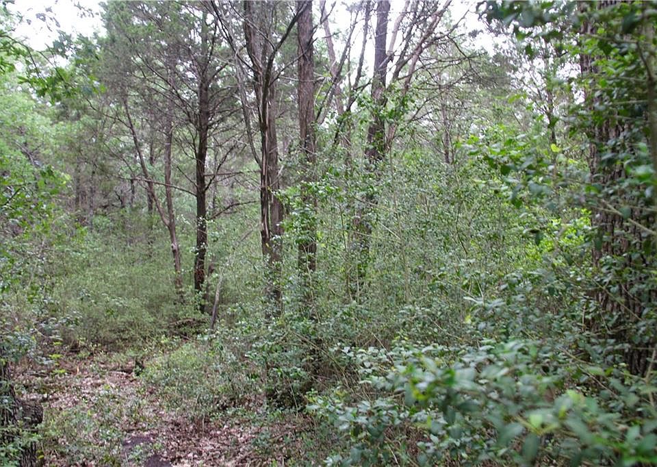 2nd image of 1069 Private Road 7039