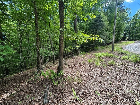 5th image of LOT 1B Forest Ln