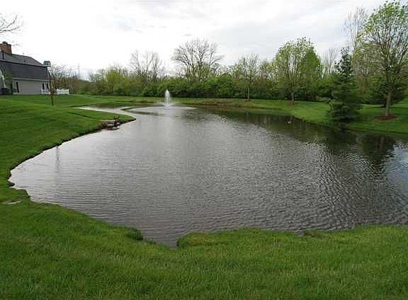 4th image of 2534 Swan Dr