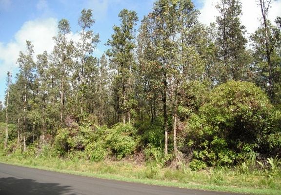 3rd image of Kahukai St Lot 9