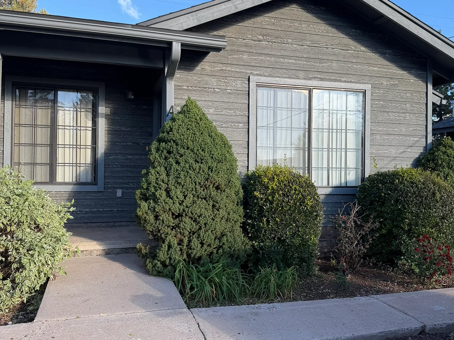 2 bed, 800 sqft, $1,550 — Photo 1