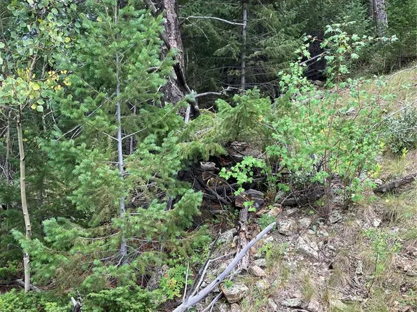 7 Miners Road, Black Hawk, CO 80422