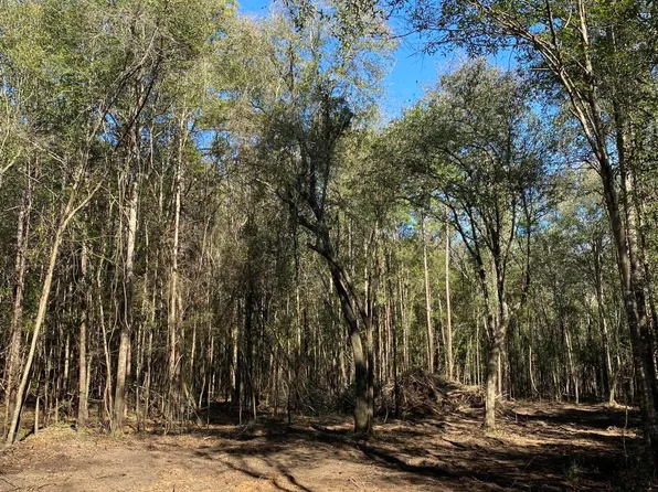 131 Baughman Rd, Poplarville, MS 39470