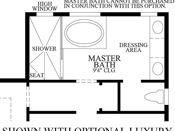 Optional Luxury Alternate Master Bath
